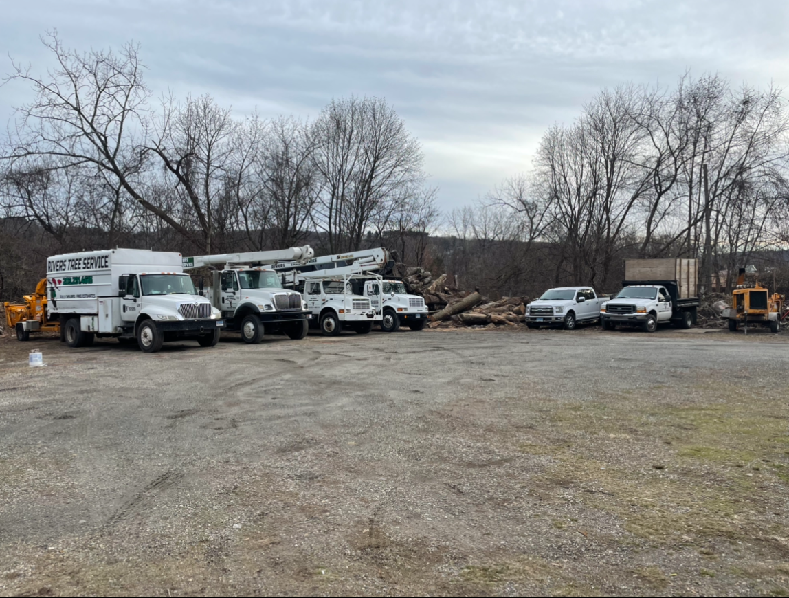 Rivers Tree Service fleet of vehicles